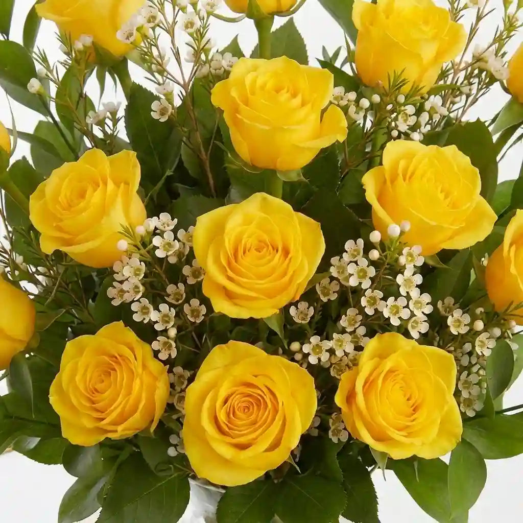 Rosas Amarillas
