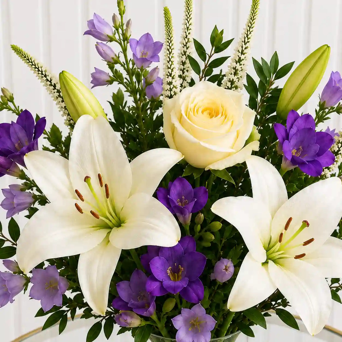 Elegancia Violeta