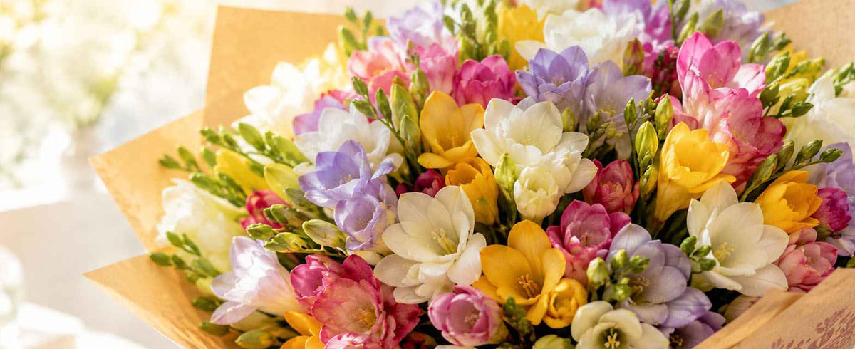 Fresias